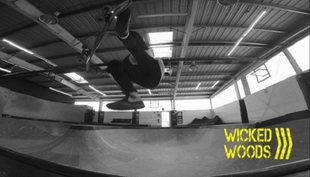 wicked woods halle
