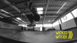 wicked woods halle