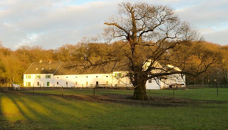 Gutshof Niederheid