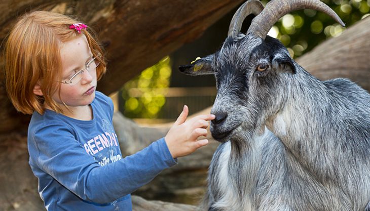 wildpark