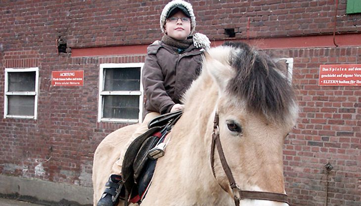Kindergeburtstag auf dem Bauernhof - Diepeshof (3)