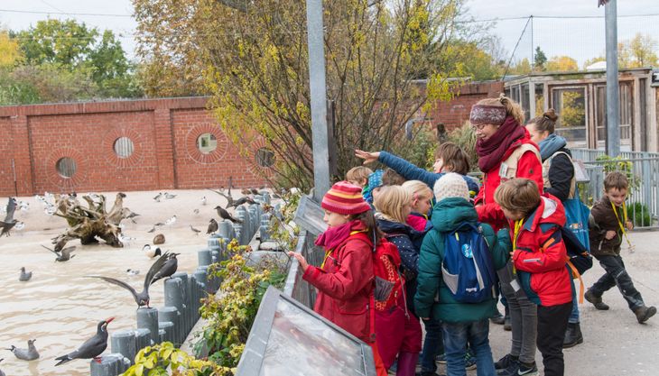 Kindergeburtstag im Zoo