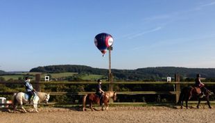 famielien reitschule lembeck dronsberg