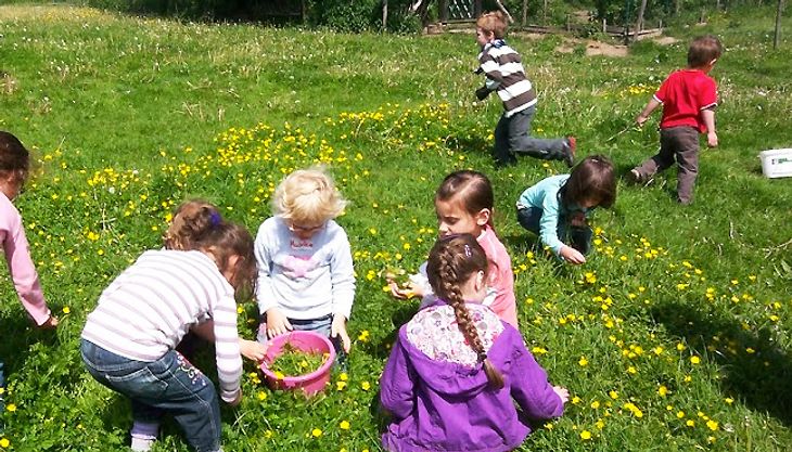 Kindergeburtstag auf dem Bauernhof - Gut Hixholz (13)