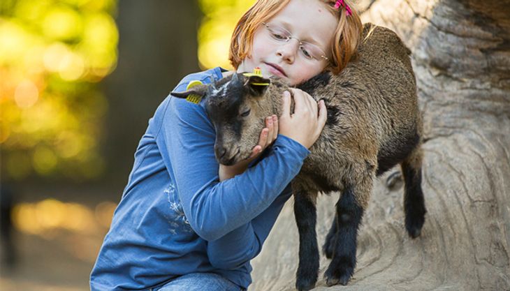 Bauernhofgeburtstag - Wildpark Lüneburger Heide (4)
