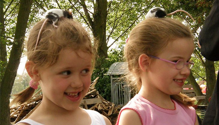 Geburtstag feiern auf dem Bauernhof  - Kinderbauernhof Kirchdorf (5)