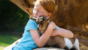 wildpark