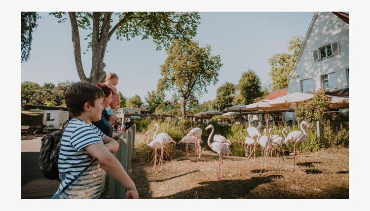 familienausflug