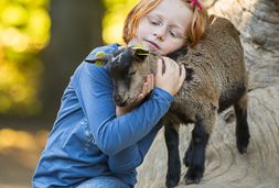 wildpark