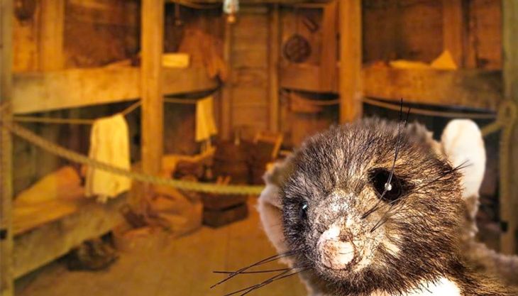 Spannender Kindergeburtstag im Auswanderermuseum
