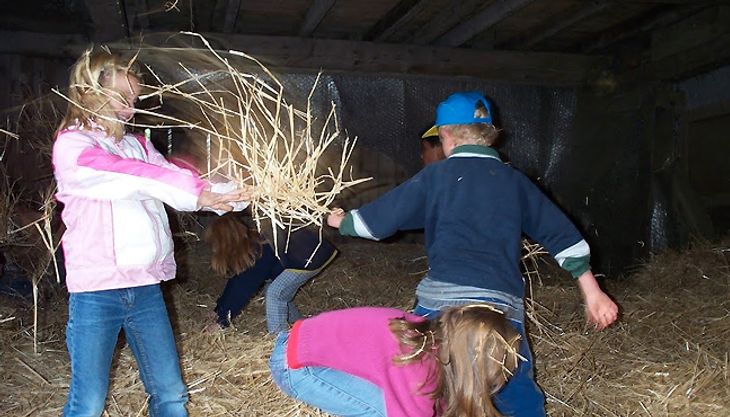 Kindergeburtstag auf dem Bauernhof - Gut Hixholz (8)