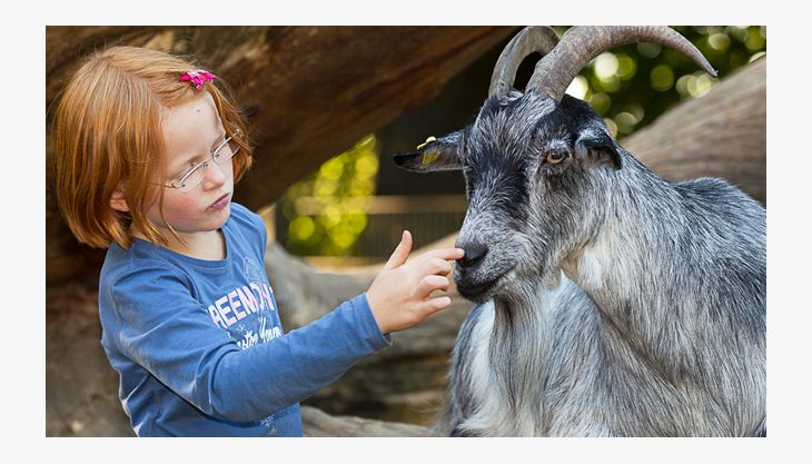 wildpark