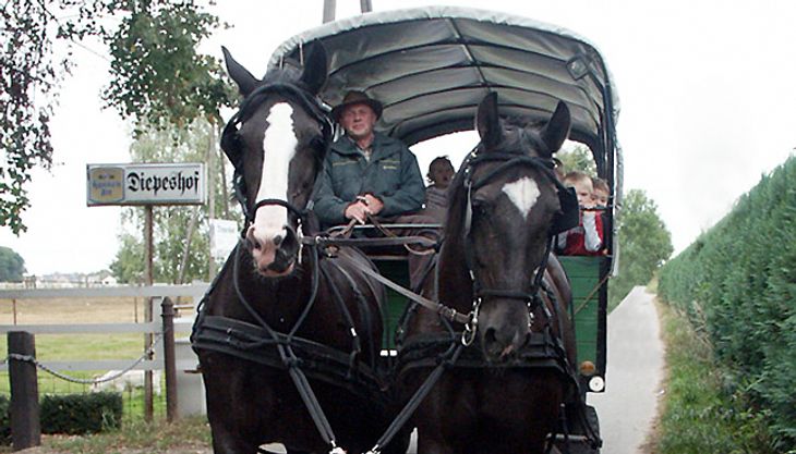 Kindergeburtstag auf dem Bauernhof - Diepeshof (5)