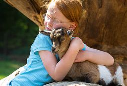 wildpark