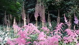 Flora und Botanischer Garten - Köln (5)