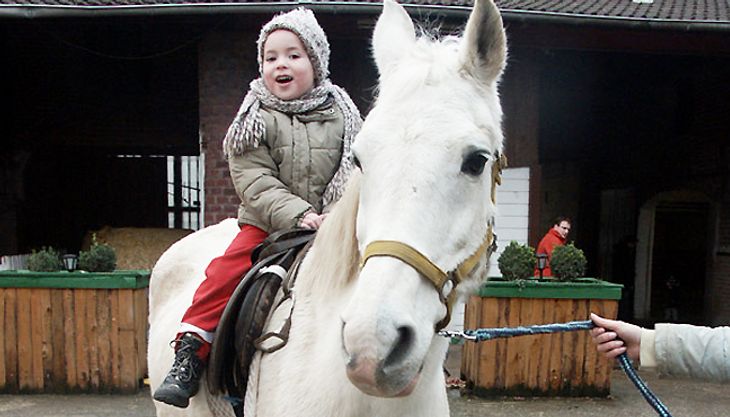 Kindergeburtstag auf dem Bauernhof - Diepeshof