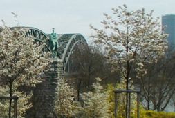 rhein