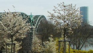 rhein