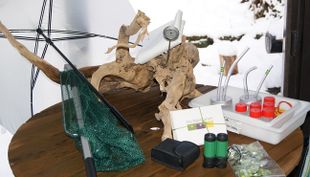 bildungsstätte begegnung im burgholz waldkiste