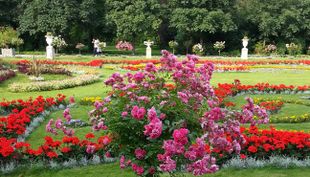 Flora und Botanischer Garten - Köln (12)