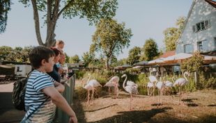 familienausflug
