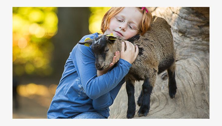 wildpark