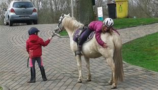 harderhof