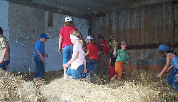 Kindergeburtstag auf dem Bauernhof - Gut Hixholz (11)