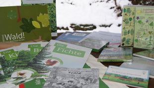 bildungsstätte begegnung im burgholz waldkiste