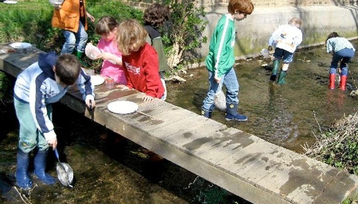 Tiere und Pflanzen im und am Wasser - Tuchfabrik Müller - Euskirchen
