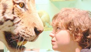 zoomuseum