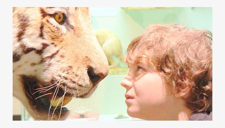 zoomuseum