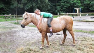 ponyhof meyerspark