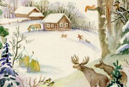 tiere