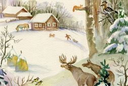 tiere