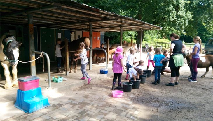 Kindergeburtstag auf dem Ponyhof - Ponyhof Meyers Park (6)