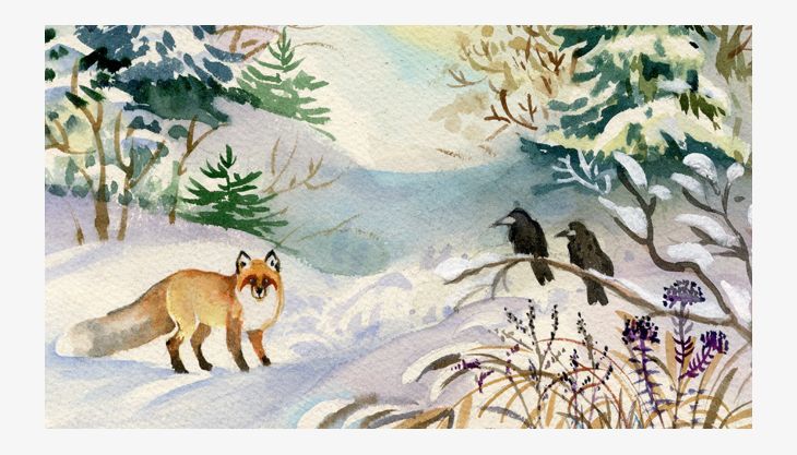 tiere