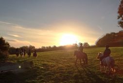 famielien reitschule lembeck dronsberg