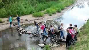 kindergeburtstag dues