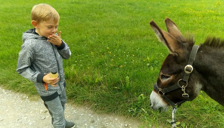 Walk und Ritt mit Esel zum Zauberwald