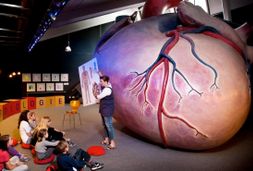 Herzenssache in der Kinder Akademie Fulda 