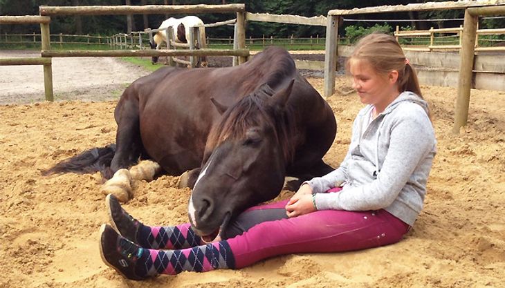 Kindergeburtstag auf dem Ponyhof - Ponyhof Meyers Park (3)