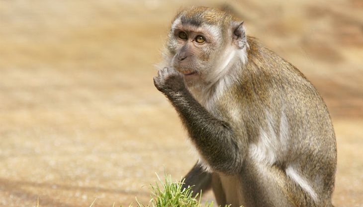 tierpark fauna