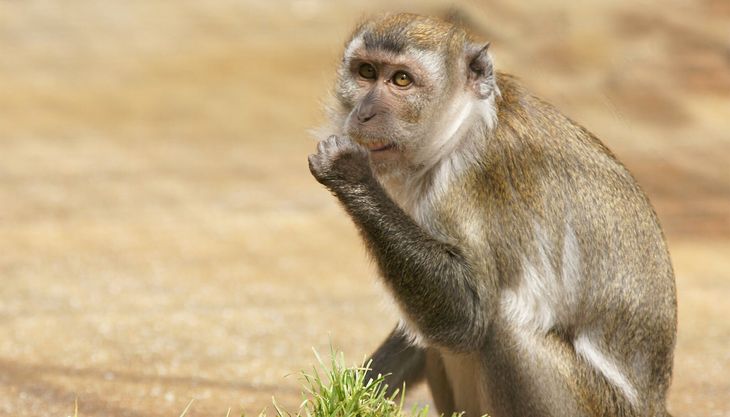 Tierpark Fauna - Solingen (2)