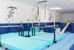 dayo gym geraete