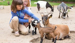 wildpark