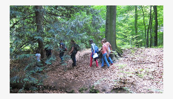 kindergeburtstag dues