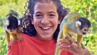 affen und vogelpark