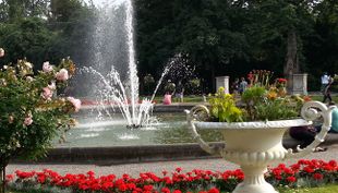 Flora und Botanischer Garten - Köln