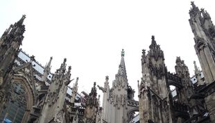 dom